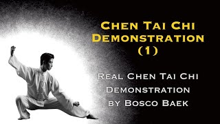 Real Chen Tai Chi Demonstration by Bosco Baek