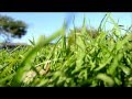 Mono-Where am I