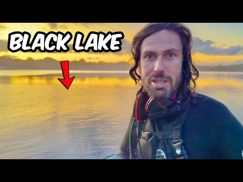 Quanti tesori sono andati perduti qui?