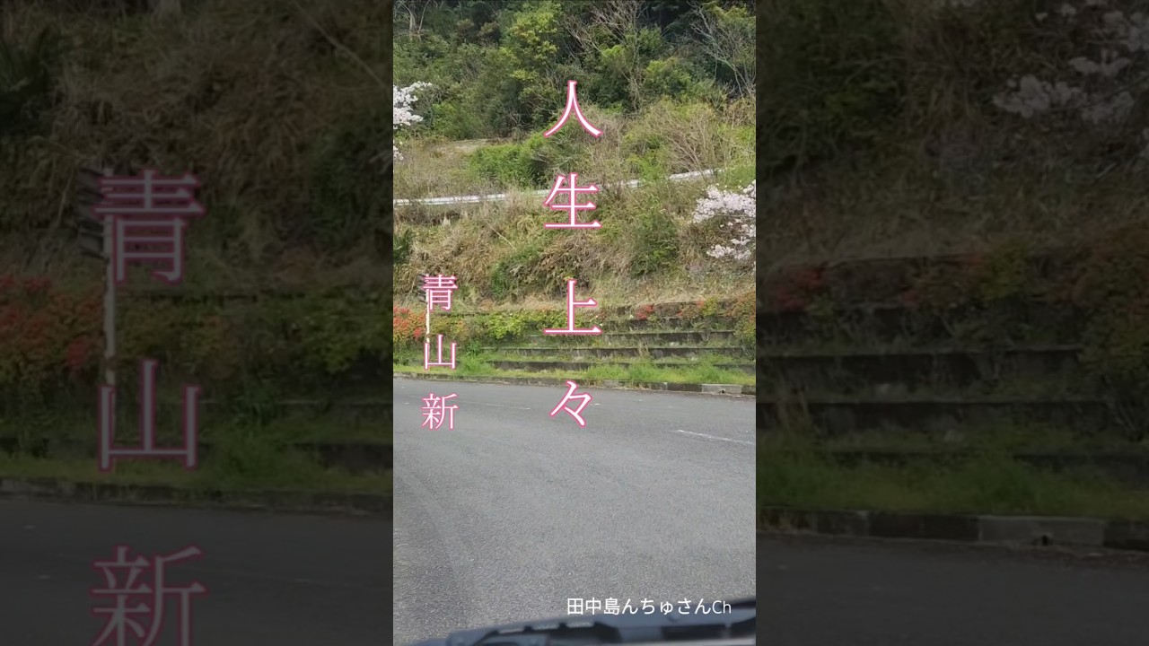 【人生上々】青山新