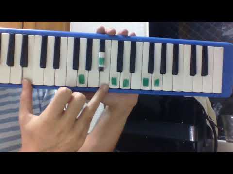 Vídeo aula de escaleta - Amelie Poulain Valse - Como tocar escaleta