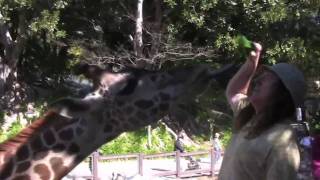 &quot;Weird Al&quot; Yankovic - at the zoo