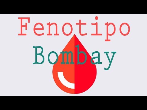 download lagu mp3 mp4 Fenotipo Bombay, download lagu Fenotipo Bombay gratis, unduh video klip Fenotipo Bombay