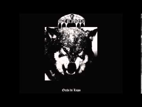 Strigoi - Carogna Umana