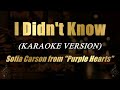 I Didn T Know Sofia Carson From Purple Hearts Karaoke