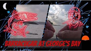 Predator strikes at George's Bay