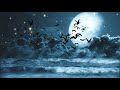 Amazing Night Sky With Moon Clouds Sta And Flapping Bird Stock Video Background