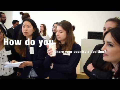 Vienna Master of Arts in Human Rights — Model United Nations