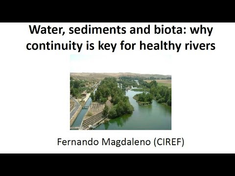 Restoring river continuity - Webinar: Water, sediments and biota