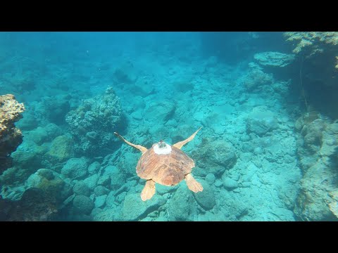 Voyages Vert Vous - La Réunion : l'île intense côté océan