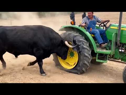 Best Farm Life Fails 🚜🐄 Farm Animal & Tractor Fails