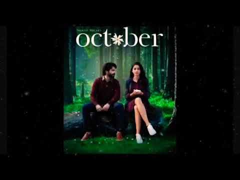 Ankur Joshi Cover Sogs