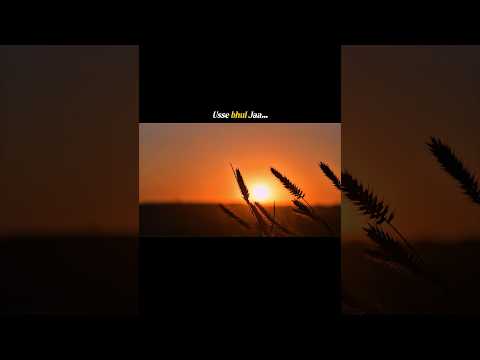 Vo tere naseeb ki baarishein kisi aur chat pe baras gayi black screen lyrics video #shayari #viral