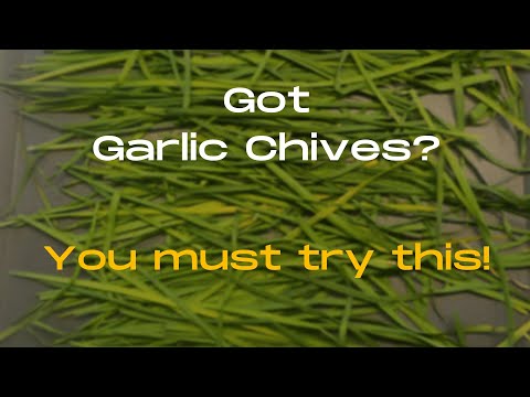 Best garlic chives recipe! | Preserving the harvest