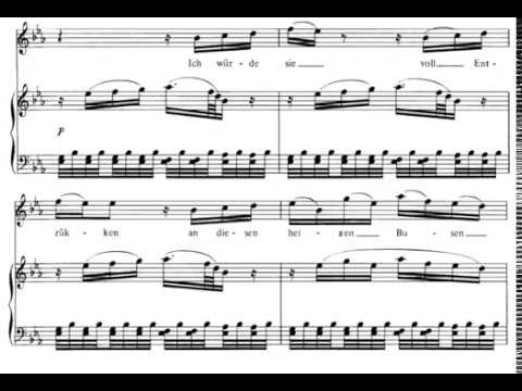 Dies Bildnis ist bezaubernd schön (Die Zauberflöte - W. A. Mozart) Score Animation