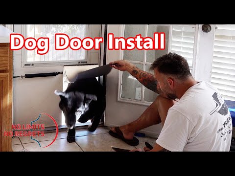 This is a CHEAP DOG DOOR DIY - How to Install PET Door for SCREEN Door DIY