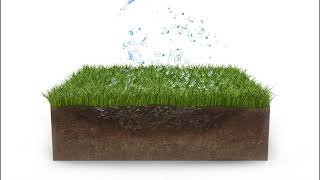 The Benefits of Paving with Grass Pavers