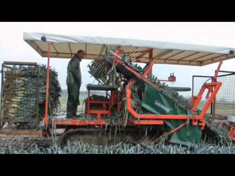 Preirooier verse markt op rupsonderstel