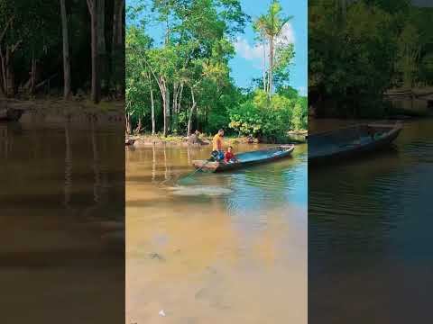 PORTO DO AÇAÍ EM GUAJARÁ AMAZONAS