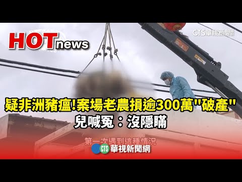 疑非洲豬瘟！案場老農損逾300萬「破產」　兒喊冤：沒隱瞞