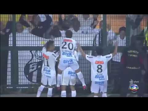 GOL DE DANILO   FINAL   LIBERTADORES 2011
