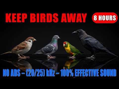🔊 SOUND TO REPEL BIRDS 🚫🐦 | 100% EFFECTIVE ULTRASONIC REPELLENT