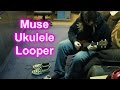Muse - New Born - Ukulele - Looper 