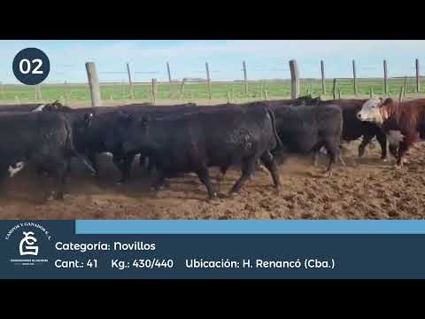 Lote NV  Huinca Renancó Cba