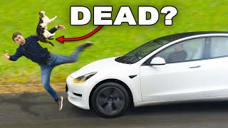 Will a Tesla KILL a cat?