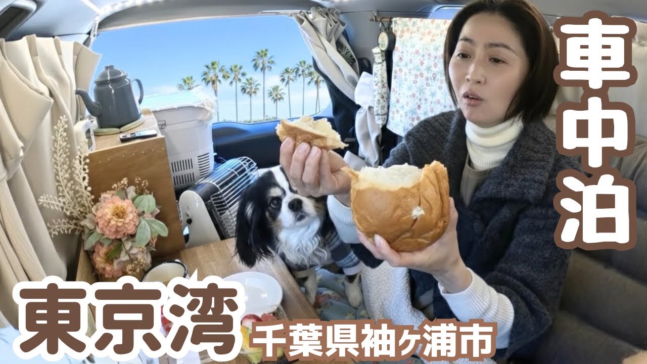 家より寛げる車内で癒される50代看護師と犬1匹。車中泊が元気の源！ジャパンキャンピングカーショー2026/東京ドイツ村/袖ヶ浦海浜公園/東京湾アクアライン/海ほたる/八剱八幡神社
