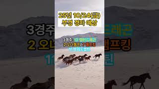[말밥GPT] 25' 10/24 (금) 부경 경마 | 전 라운드 예상픽 #경마 #경마예상