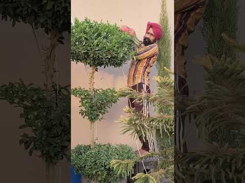 Cutting machine design