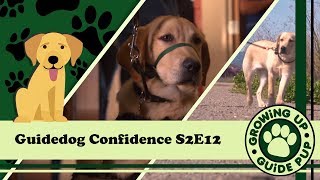 GUGP Season 2 - Week 12 - Building Confidence