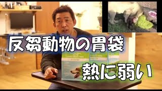 ドライフードでは摂取出来ない栄養素を摂る。【ドッグフード】
