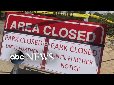 各州はどのように危機を処理しているか (How states are handling the crisis)