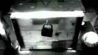 Trail of Tears - The Haunted