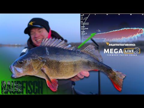 We test the new Humminbird MEGA LIVE 2