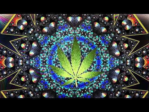 Psytrance Experience - Cannabis Control 👽 Space Hemp / T.H.C. mix 2023