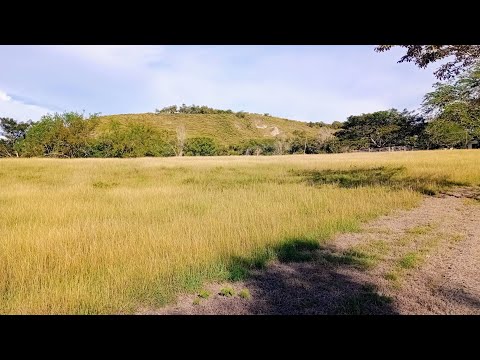FINCA EN SALDAÑA TOLIMA 