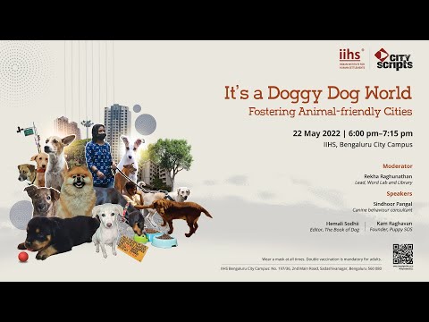 It's a Doggy Dog World: Fostering Animal-friendly Cities