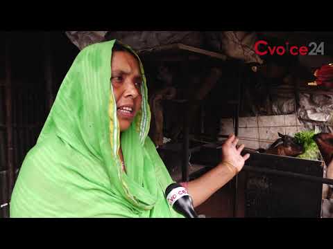 করোনার টিকা থেকে দূরে বস্তিবাসী