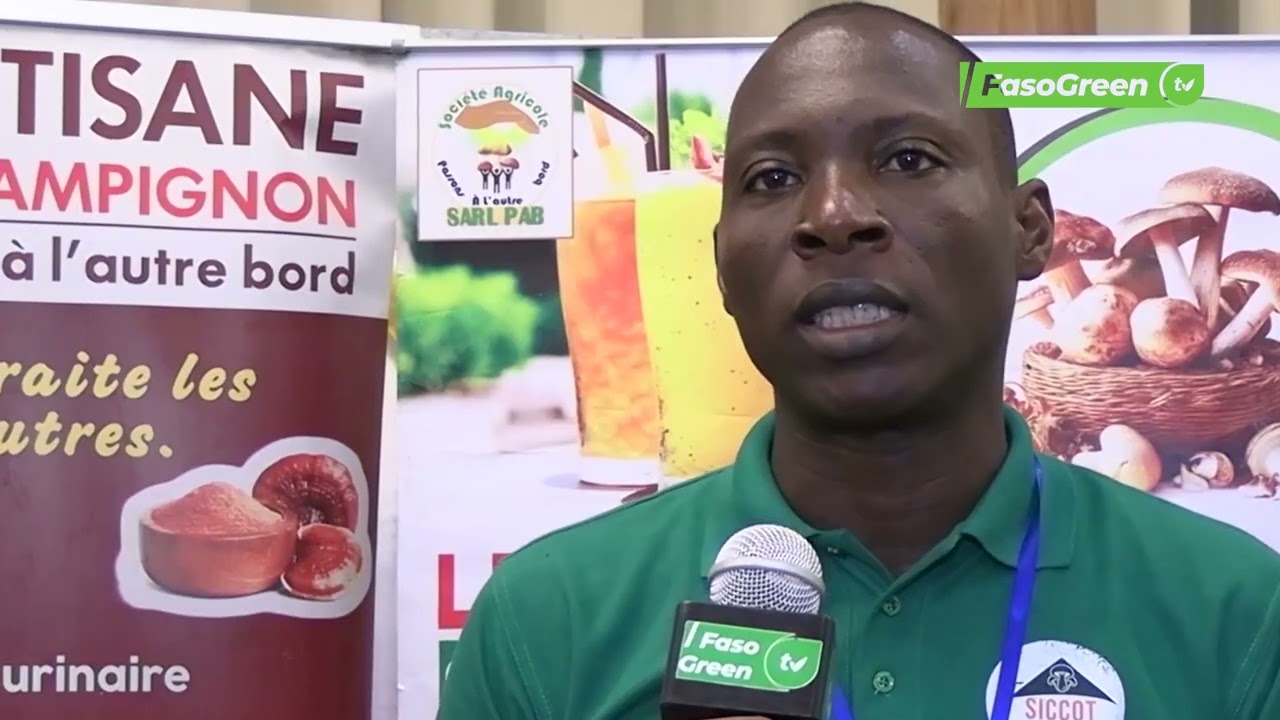 Production et transformation de champignons : Des myciculteurs de Côte d'Ivoire s’illustre