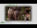Nieuwe Indiana Jones en Star Wars game? - De Week met XBNL afl. 156