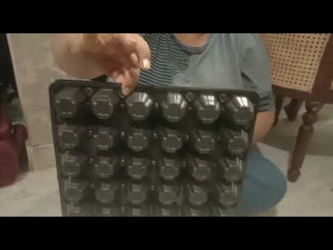 30 Egg Packaging Tray