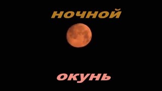 Ловля окуня ночью на спиннинг