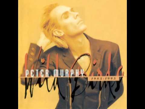 Peter Murphy_The Scarlet Thing in You