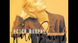 Peter Murphy_The Scarlet Thing in You