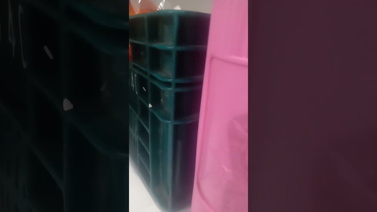 25 de janeiro de 2026