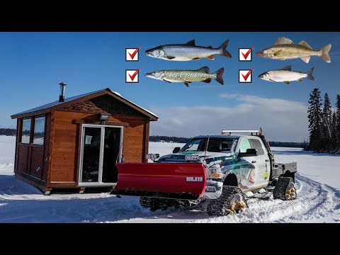 Multi-species adventure at Bakers Narrows Lodge