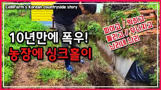 역대급 폭우에  파이고 뚫리고 쏟아지고 막히고 난리네  첼리팜 시골이야기 CelliFarm's Korean …